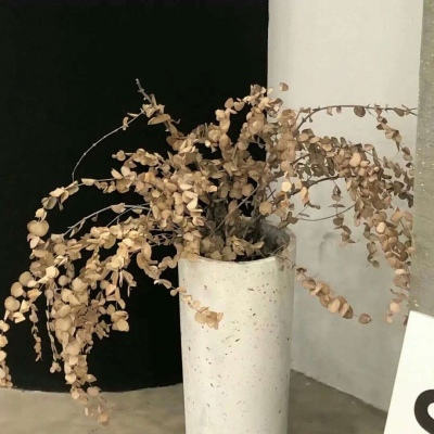 通辽福瑞交流群